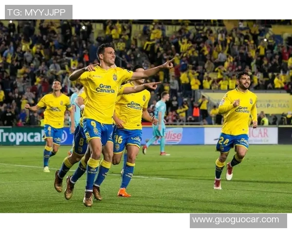 印尼与巴勒斯坦足球赛前瞻及胜负预测分析 印尼与巴勒斯坦足球赛前瞻及胜负预测分析