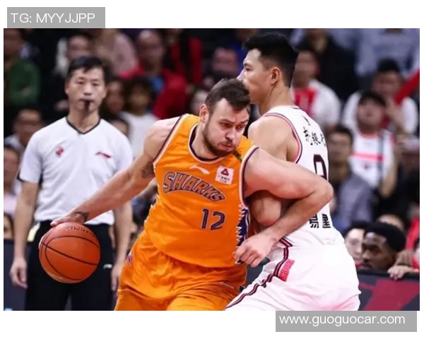 鹈鹕队内外援携手取得五连胜,冲击西部第四 鹈鹕队内外援携手取得五连胜,冲击西部第四