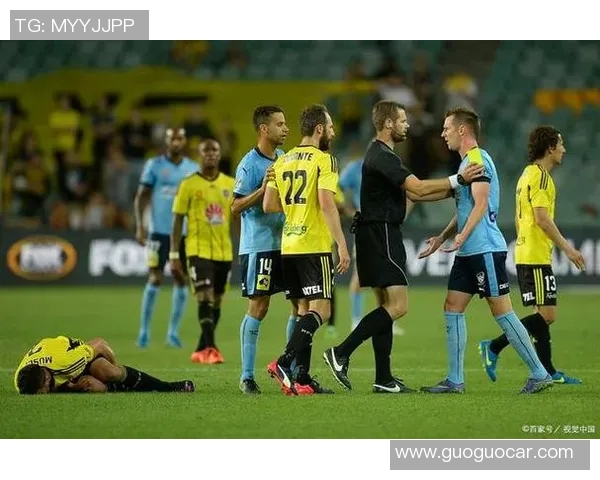 惠灵顿凤凰对阵墨尔本胜利赛前分析与胜负预测 惠灵顿凤凰对阵墨尔本胜利赛前分析与胜负预测