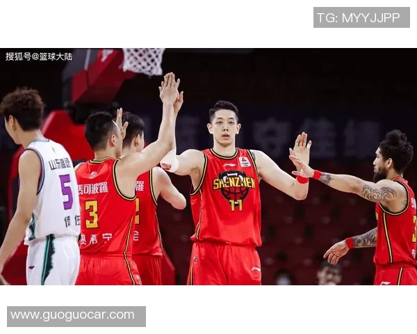 沈梓捷:从青年才俊到行业领军人物的成长之路与未来展望 沈梓捷:从青年才俊到行业领军人物的成长之路与未来展望